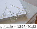 押し花のカスミソウ｜白背景のシンプルな花素材 129749182