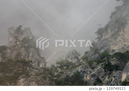 Misty mountain peaks shrouded in fog, sparse vegetation emerging through hazy landscape, revealing raw wilderness and ethereal silence Misty mountain peaks shrouded in fog, sparse vegetation emerging through hazy landscape, revealing raw wilderness and ethereal silence 129749521