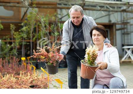 Focused elderly male and female consumers picking potted plants and bushes in outdoor garden market Focused elderly male and female consumers picking potted plants and bushes in outdoor garden market 129749734