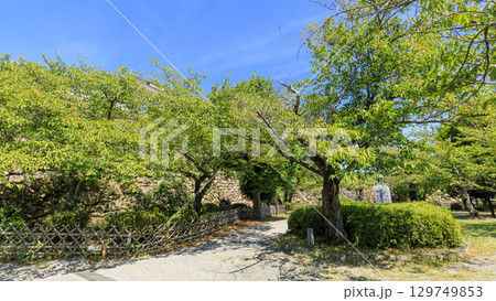 徳川家康出世の浜松城址 129749853