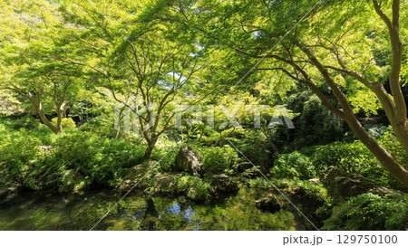 浜松城址の日本庭園 129750100