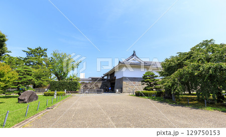 駿府城址の夏 駿府城址の夏 129750153