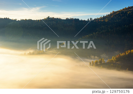morning fog in mountain landscape. autumn in transylvania. beautiful scenery with trees on the hill among glowing mist. scenic nature background under light blue sky 129750176