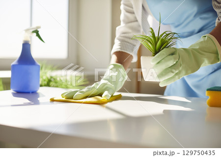 Female cleaner hands in gloves close up, housewife, woman polishing table top with cloths Female cleaner hands in gloves close up, housewife, woman polishing table top with cloths 129750435