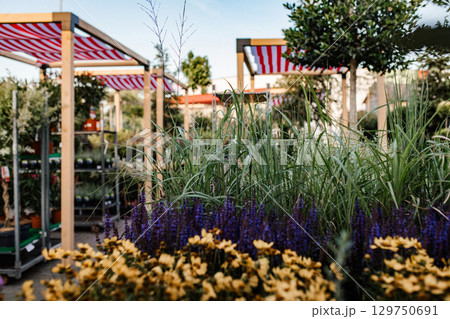 Outdoor garden center with potted flowers and plants 129750691