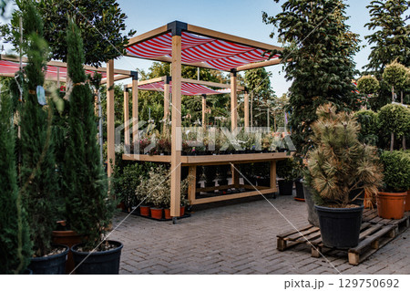 Outdoor garden center with potted flowers and plants Outdoor garden center with potted flowers and plants 129750692