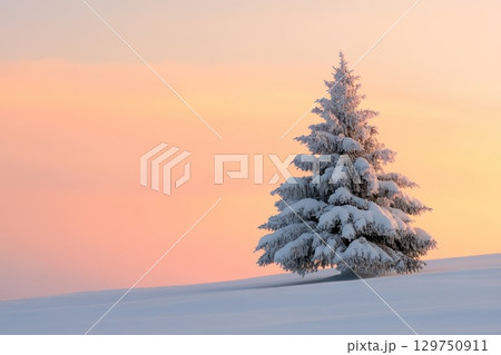 winter landscape trees covered with snow winter landscape trees covered with snow 129750911