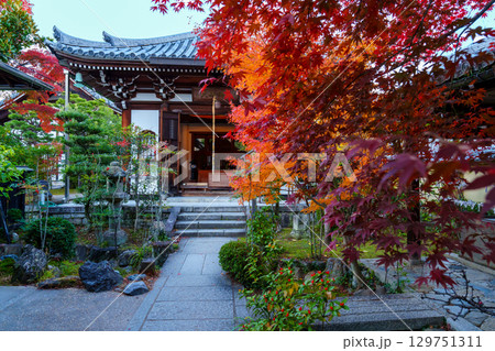 紅葉に包まれた天龍寺の慈濟院 紅葉に包まれた天龍寺の慈濟院 129751311