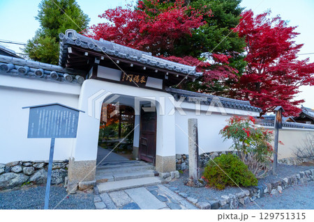 紅葉に包まれた天龍寺の慈濟院 129751315