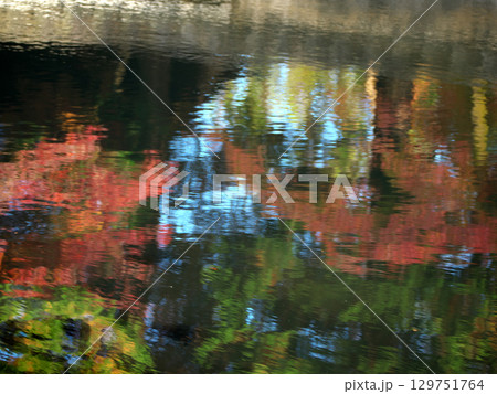 水面に映る紅葉 水面に映る紅葉 129751764