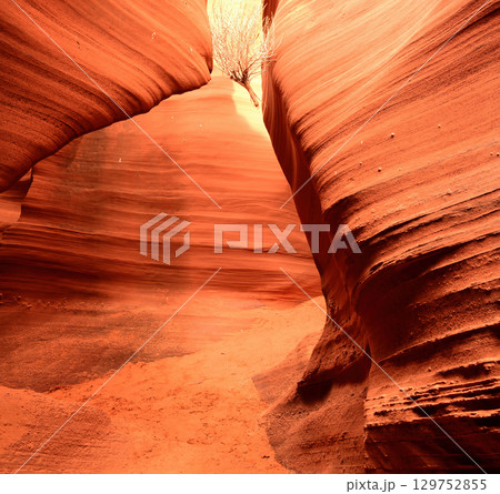 Rattlesnake Slot Canyon Arizona 129752855