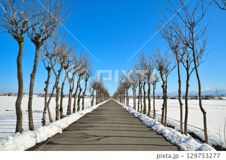 冬の満願寺はさ木(新潟県) 冬の満願寺はさ木(新潟県) 129753277