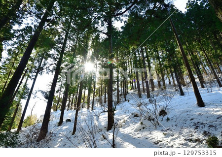 慈光寺　参道（新潟県） 129753315