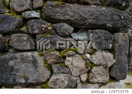 The stone wall of the old fortress of Gvara. The background is a stone wall The stone wall of the old fortress of Gvara. The background is a stone wall 129753576