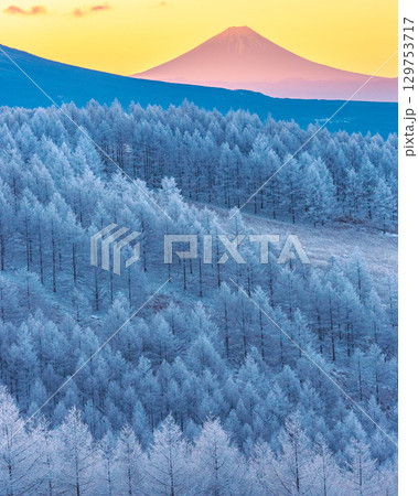 富士山 霧ヶ峰 霧氷 129753717