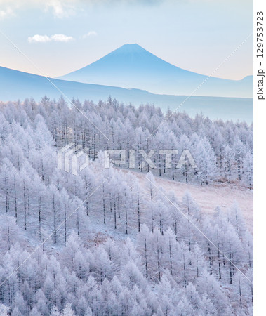 富士山 霧ヶ峰 霧氷 富士山 霧ヶ峰 霧氷 129753723