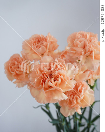 オレンジ色のカーネーションの花 129754088