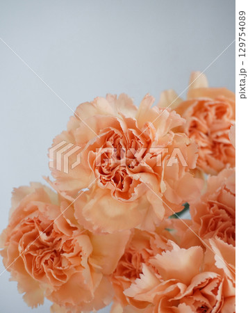 オレンジ色のカーネーションの花 オレンジ色のカーネーションの花 129754089