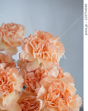 オレンジ色のカーネーションの花 129754090
