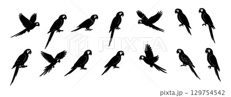 Set of Black silhouette of macaw parrot in various poses, isolated on white background. concept of bird, tropical wildlife, exotic pet, avian icon, logo, design element. Set of Black silhouette of macaw parrot in various poses, isolated on white background. concept of bird, tropical wildlife, exotic pet, avian icon, logo, design element. 129754542