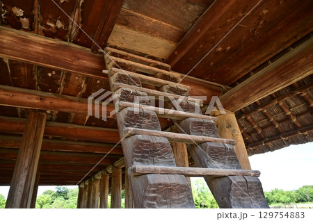 池上・曽根遺跡（大阪府泉大津市）いずみの高殿と階段 129754883