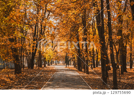 Asphalt path through the autumn city Park among the trees 129755690