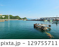 雑賀崎漁港 129755711
