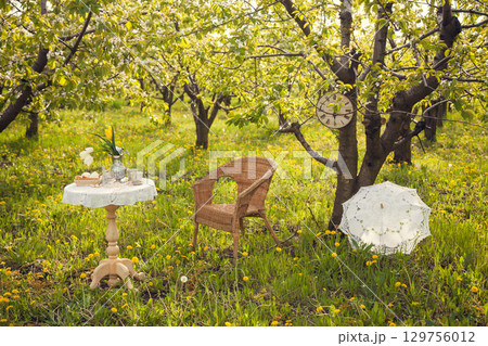Romantic picnic in the spring garden. Decorations for a photo shoot in a blooming Apple orchard. A coffee table filled with cups, candy, pastries, and a vase of tulips, wicker chair, lace umbrella. Romantic picnic in the spring garden. Decorations for a photo shoot in a blooming Apple orchard. A coffee table filled with cups, candy, pastries, and a vase of tulips, wicker chair, lace umbrella. 129756012