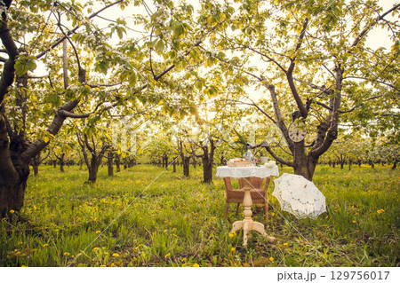 Romantic picnic in the spring garden. Decorations for a photo shoot in a blooming Apple orchard. A coffee table filled with cups, candy, pastries, and a vase of tulips, wicker chair, lace umbrella. 129756017