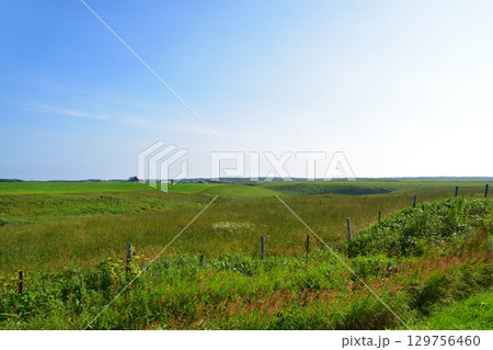 北海道根室市道道35号協力橋からサンコタン橋までの風景 129756460