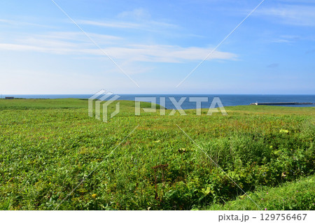 北海道根室市道道35号協力橋からサンコタン橋までの風景 129756467