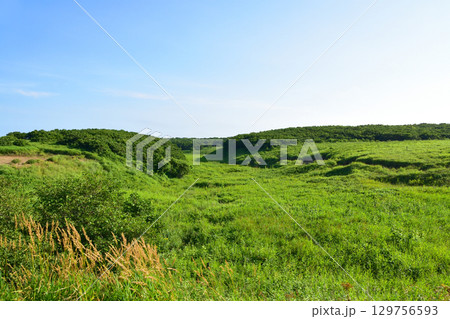 北海道根室市道道35号サンコタン橋からノッカマップ橋までの風景 129756593