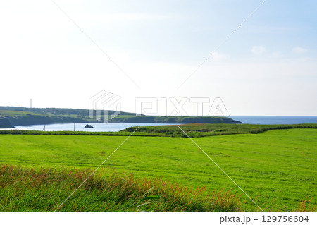 北海道根室市道道35号サンコタン橋からノッカマップ橋までの風景 129756604