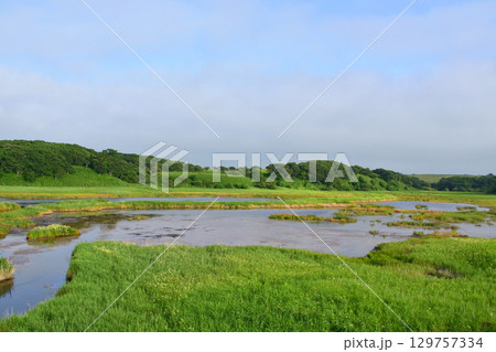 北海道根室市道道35号ノッカマップ橋からコタンケシ橋までの風景 北海道根室市道道35号ノッカマップ橋からコタンケシ橋までの風景 129757334
