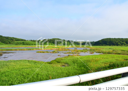 北海道根室市道道35号ノッカマップ橋からコタンケシ橋までの風景 北海道根室市道道35号ノッカマップ橋からコタンケシ橋までの風景 129757335