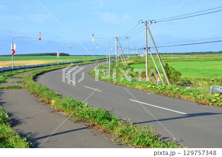 北海道根室市道道35号ノッカマップ橋からコタンケシ橋までの風景 129757348