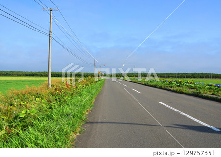 北海道根室市道道35号ノッカマップ橋からコタンケシ橋までの風景 北海道根室市道道35号ノッカマップ橋からコタンケシ橋までの風景 129757351