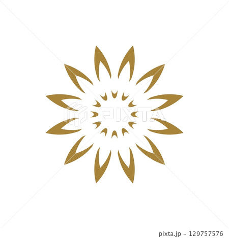 Ornamental Flower Logo Template Illustration Design. Vector EPS 10. Ornamental Flower Logo Template Illustration Design. Vector EPS 10. 129757576