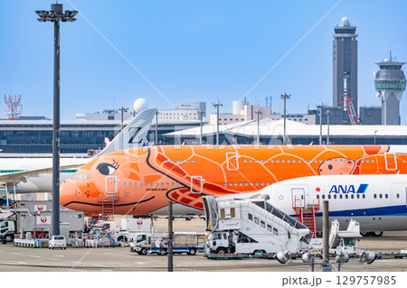 オレンジのウミガメが成田空港に駐機 129757985