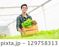 Happy farmer holding basket with fresh vegetable 129758313
