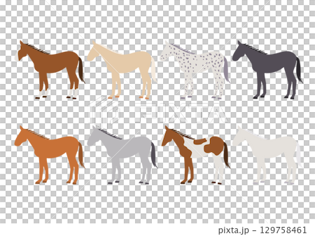 Horse breeds vector illustration set Horse breeds vector illustration set 129758461