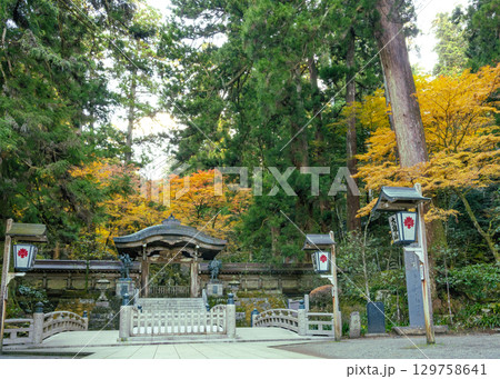 大雄山最乗寺のパワースポットの御供橋と結界門付近の秋の紅葉風景 129758641