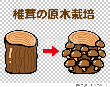 椎茸の原木栽培のイラスト素材2 129758684