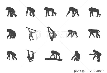 Chimpanzee silhouette, Chimpanzee svg, Chimpanzee vector, Chimpanzee clipart, Chimpanzee vector illustration. 129758853