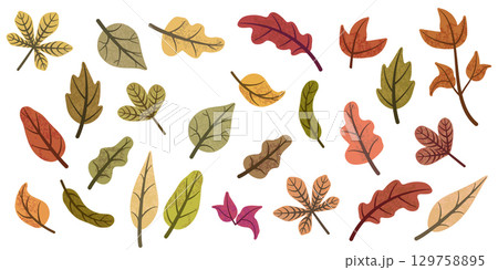 Different colorful autumn leaves set 129758895