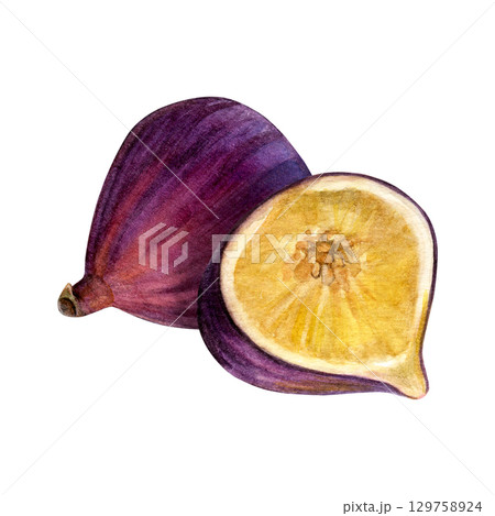 Composition of figs. Watercolor of fruit and half fruit isolated on white background. Good for postcards,recipes, menu, invitations, greeting cards 129758924