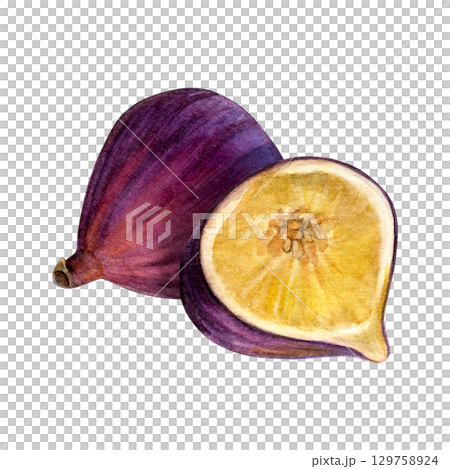 Composition of figs. Watercolor of fruit and half fruit isolated on white background. Good for postcards,recipes, menu, invitations, greeting cards 129758924
