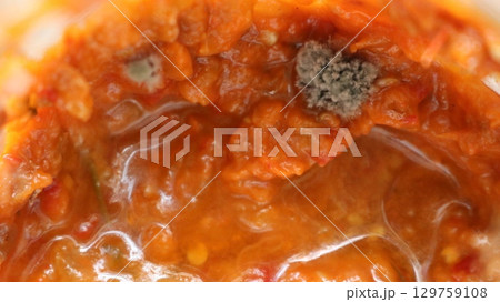 mold on vegetable snack orange color, gray-green fluffy mold growth on spoiled vegetable caviar, process of food spoilage and appearance of fungal mold 129759108