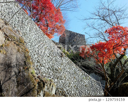 秋の岡城跡　石垣と紅葉　（大分県竹田市） 129759159