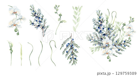 White flowers, greenery twigs and juniper in pastel tones watercolor clipart isolated. Set of coniferous branches and white orchids soft sage green hand drawn for nature label. Floral design packaging 129759389